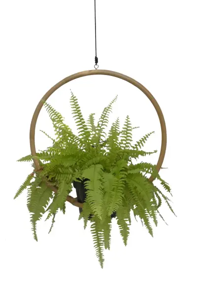 Product image 1 of the product “Makima hanging planter, made of rattan wood, 50 cm height. Natural Color. ”
